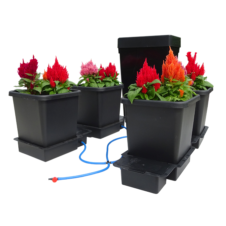 4Pot_PACK_1_4Pot_System_AQUAvalve5_Potted_WEB