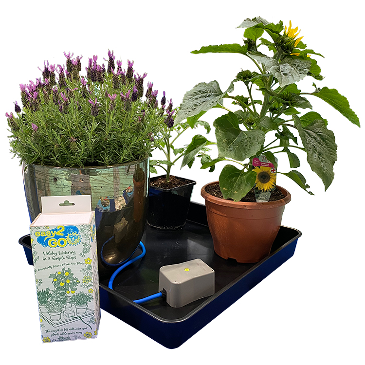 AP400_easy2GO_Setup_WEB