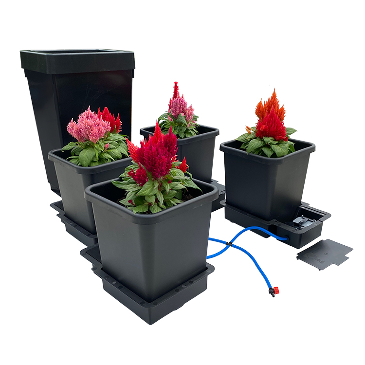 APWS_Images_Plantasia_2021_4Pot_WEB