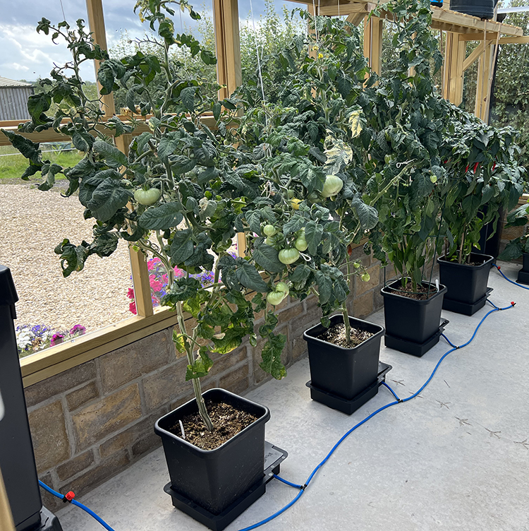 AutoPot_4Pot_Greenhouse_2_WEB