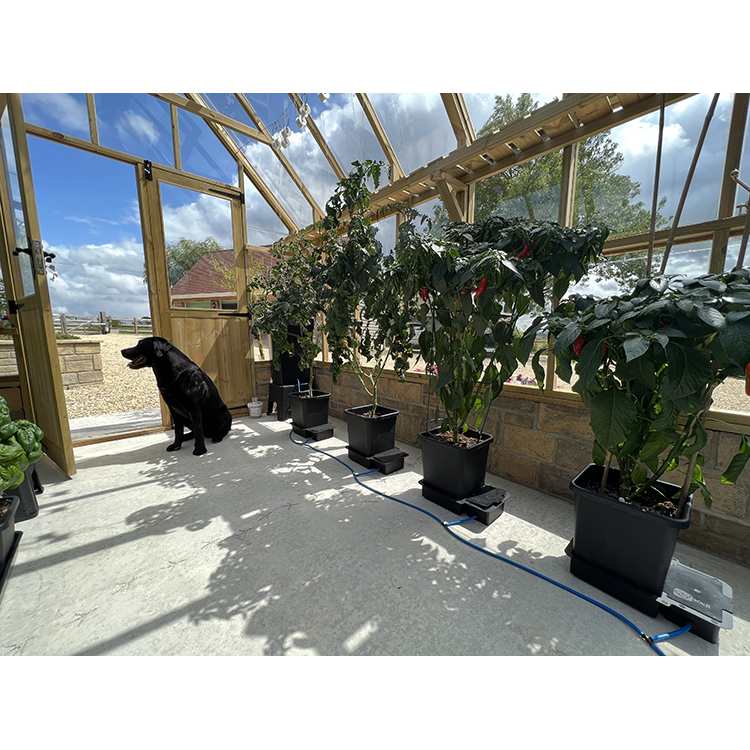 AutoPot_4Pot_Greenhouse_3_WEB
