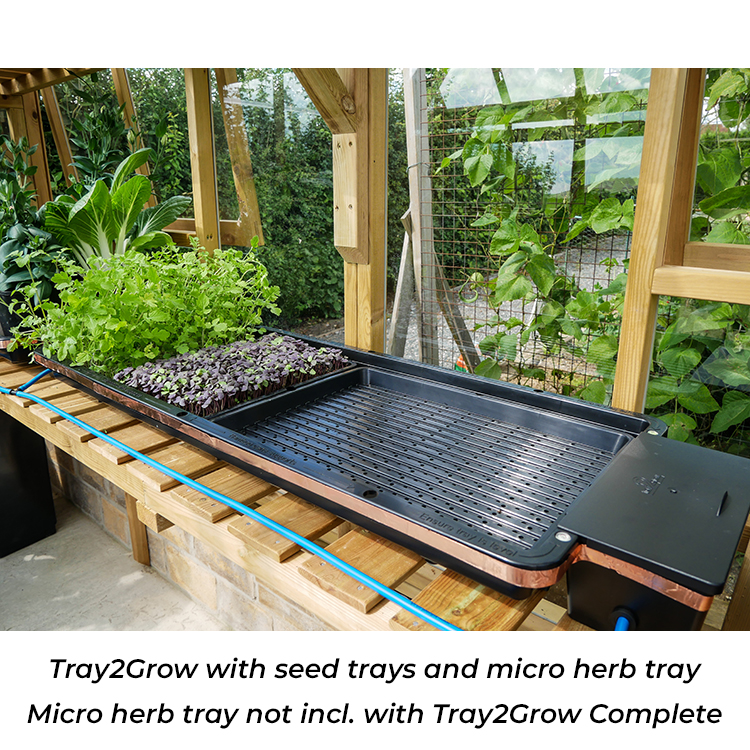 AutoPot_Tray2Grow_Situ_Image_MicroHerb_Config_1_WEB