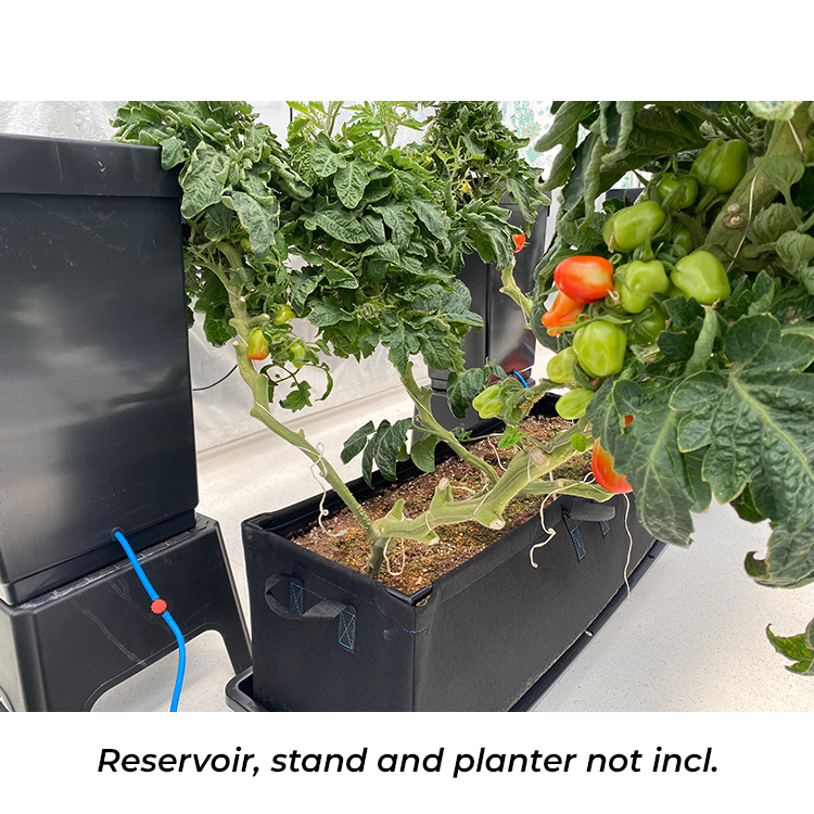 AutoPot_Tray2Grow_Situ_Image_Planter_Config_1_WEB