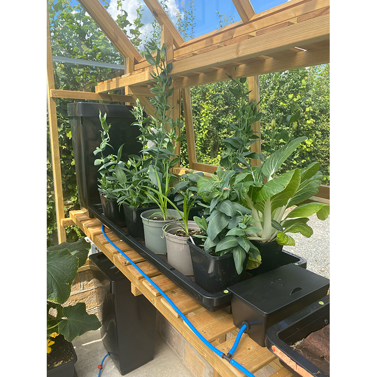 AutoPot_Tray2Grow_Situ_Image_Small_Pots_Config_3_WEB