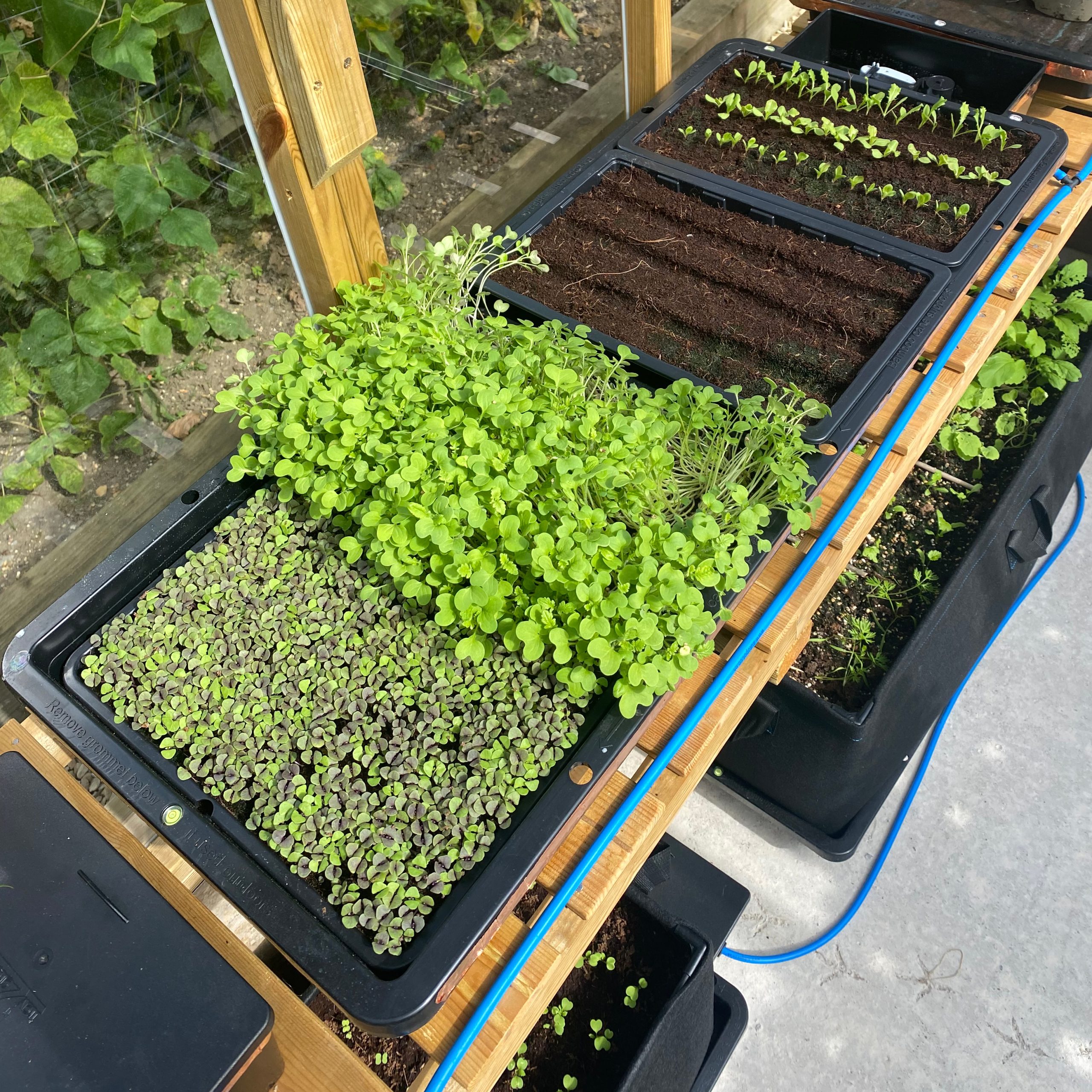 AutoPot_Tray2Grow_Situ_Image_Trays_Config_1_WEB