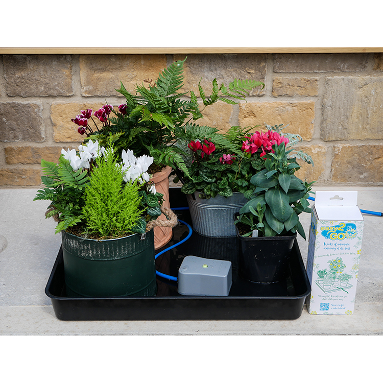 AutoPot_easy2GO_Situ_Image_2_WEB