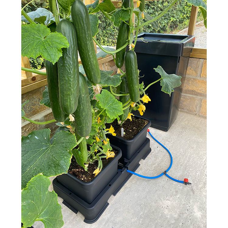AutoPot_easy2Grow_Situ_Image_3_WEB AutoPot_easy2Grow_Situ_Image_3_WEB