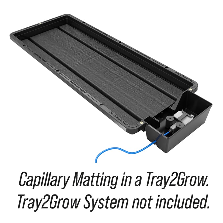 Tray2Grow_Cap_Mat_Caption_WEB.jpg