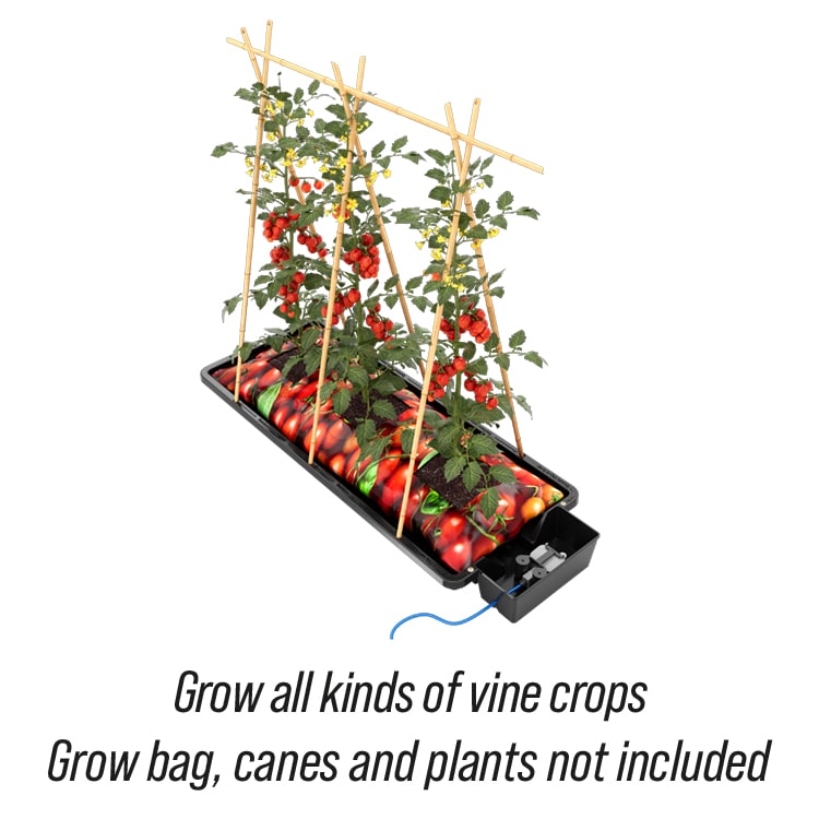 Tray2Grow_Grow_Bag_Tomatoes_Caption_WEB.jpg