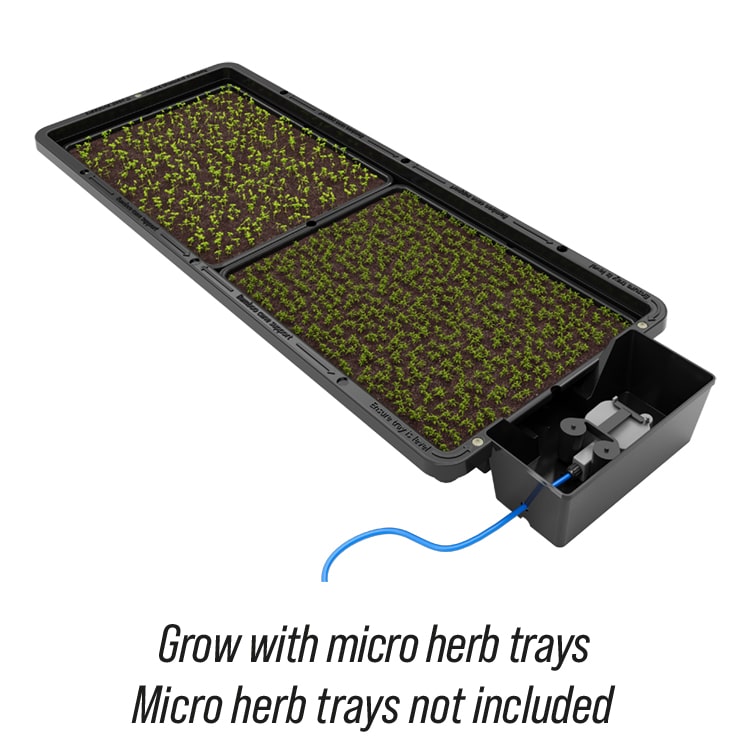 Tray2Grow_Large_Seed_Trays_Caption_WEB.jpg