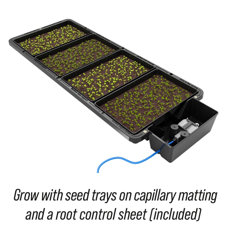 Tray2Grow_Seed_Trays_Herbs_NO_SHADOW_Caption_WEB.jpg