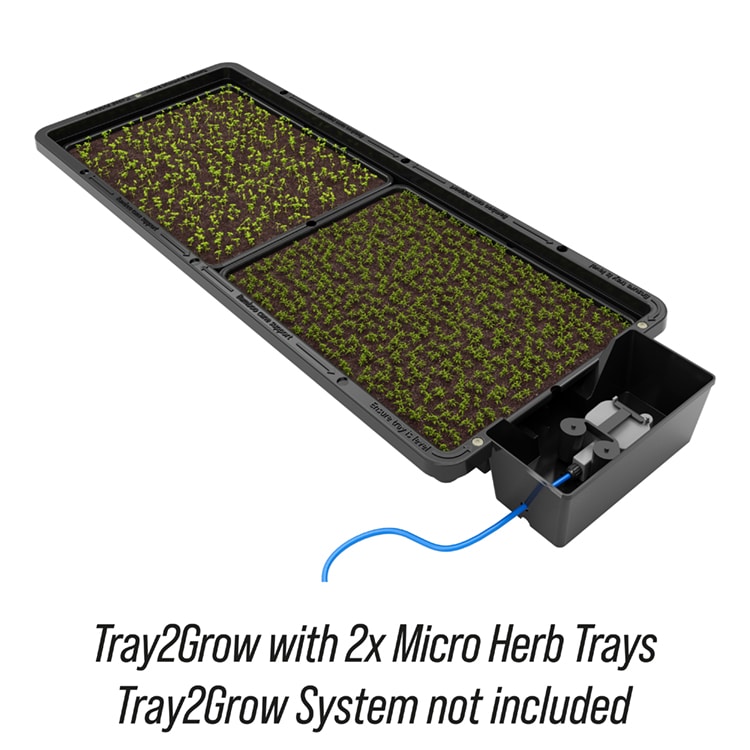 AutoPot tray2grow micro herb trays for plants
